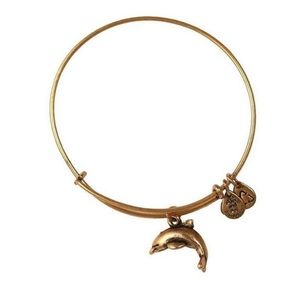Alex and Ani + Energy Dolphin Bracelet✨